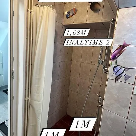 Place * Brașov