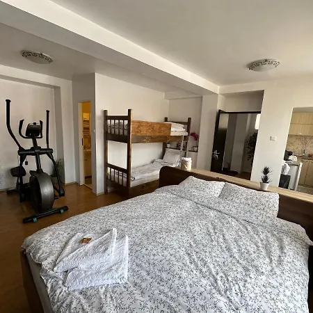 Case de vacanță Place