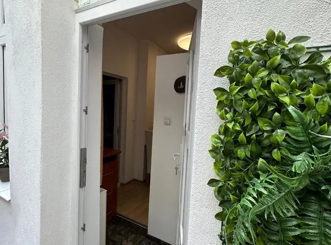 Place * براشوف