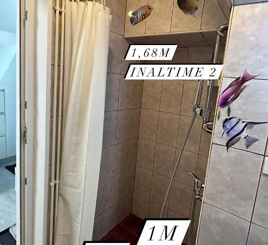 Place * Μπρασόβ